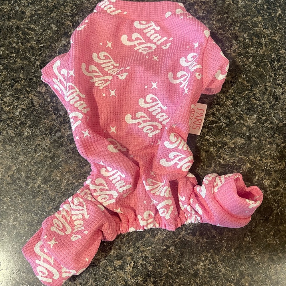 Paris Hilton Pink Dog Outfit